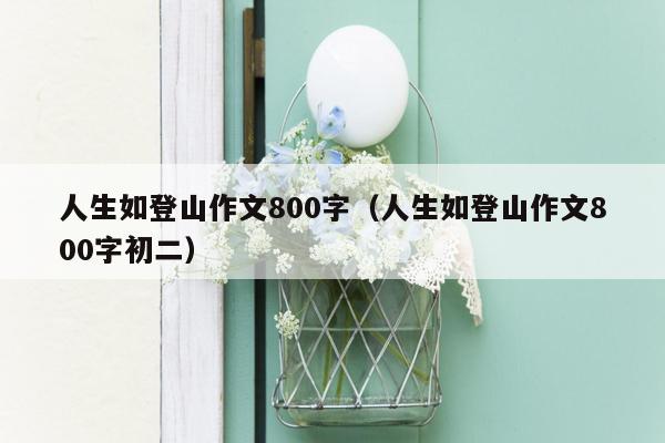 人生就像登山,有人結伴而行,有人獨來獨往,以題寫800字作文,請問主旨